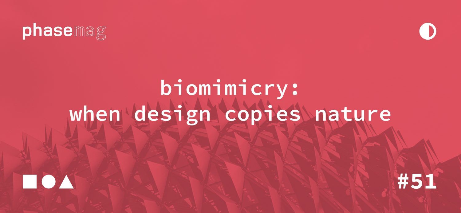 Biomimicry: When Design Copies Nature